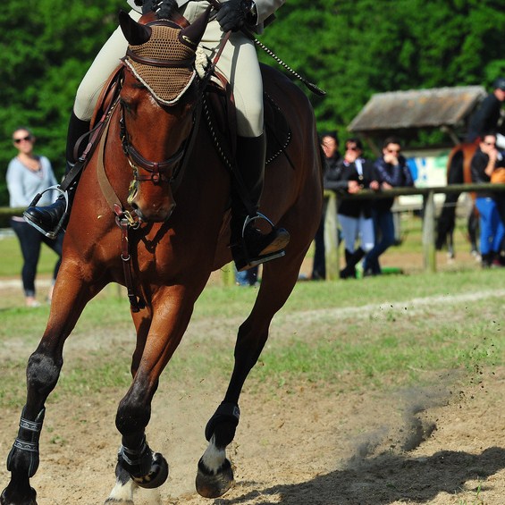 Cavalier et son cheval au premier plan, coach en arrière plan