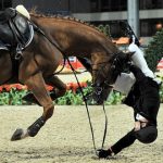 Chute de cheval
