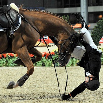 Chute de cheval